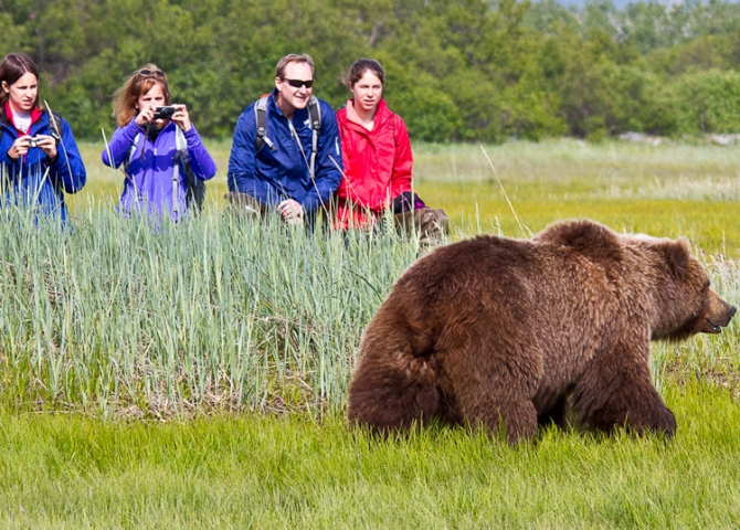 Denali National Park