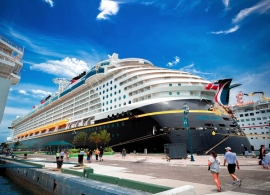 Grand USA with Bahamas Cruise 20D/19N Tour - 2016